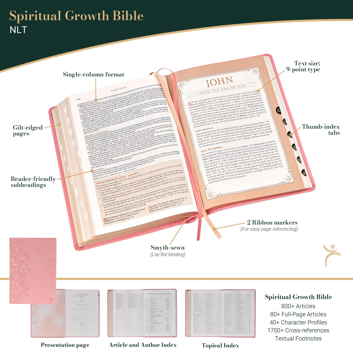The Spiritual Growth Bible, Study Bible, NLT - New Living Translation Holy Bible, Faux Leather, Pink (NLT Spiritual Growth Editions)