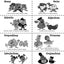 The Parts of Speech Workbook, Grade 1 (Grammaropolis Grammar Workbooks)