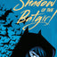 Shadow of the Batgirl