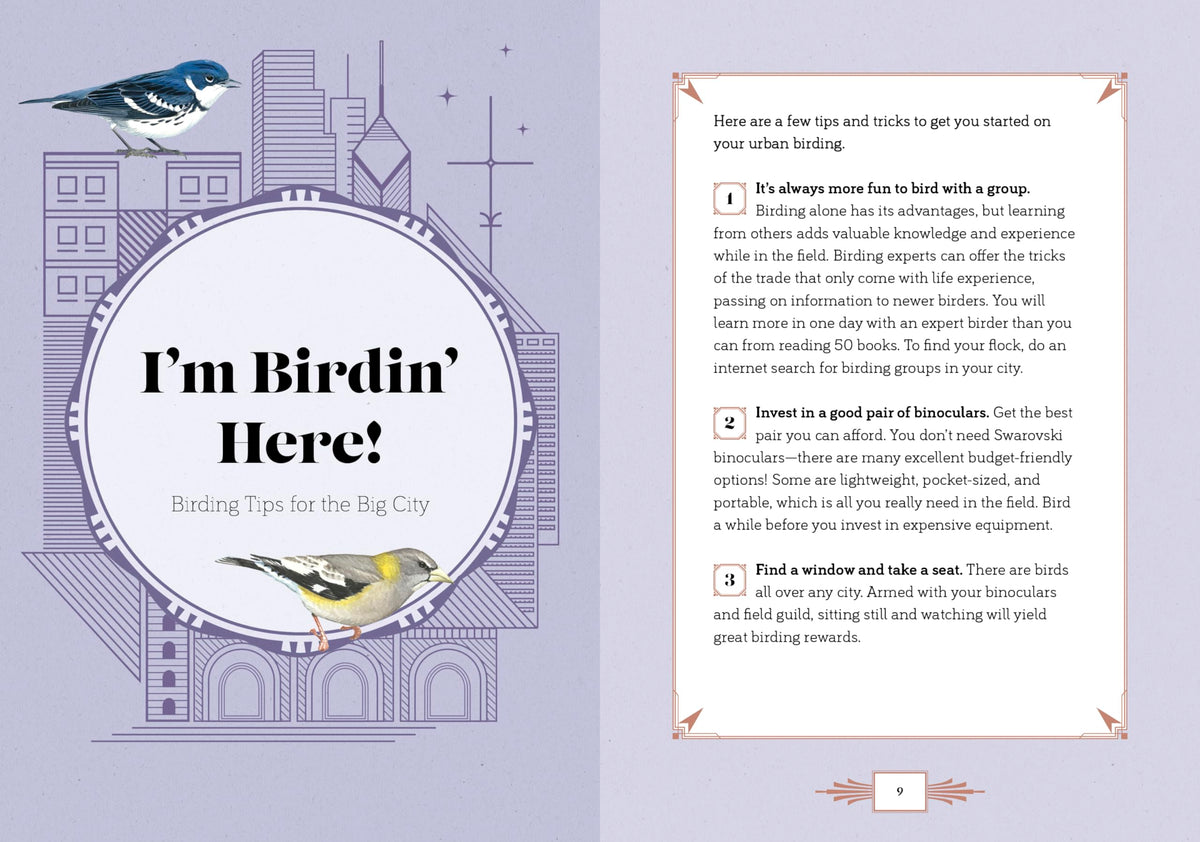 City Bird: Explore the Charming Metropolitan Melodies of Our Feathered Friends