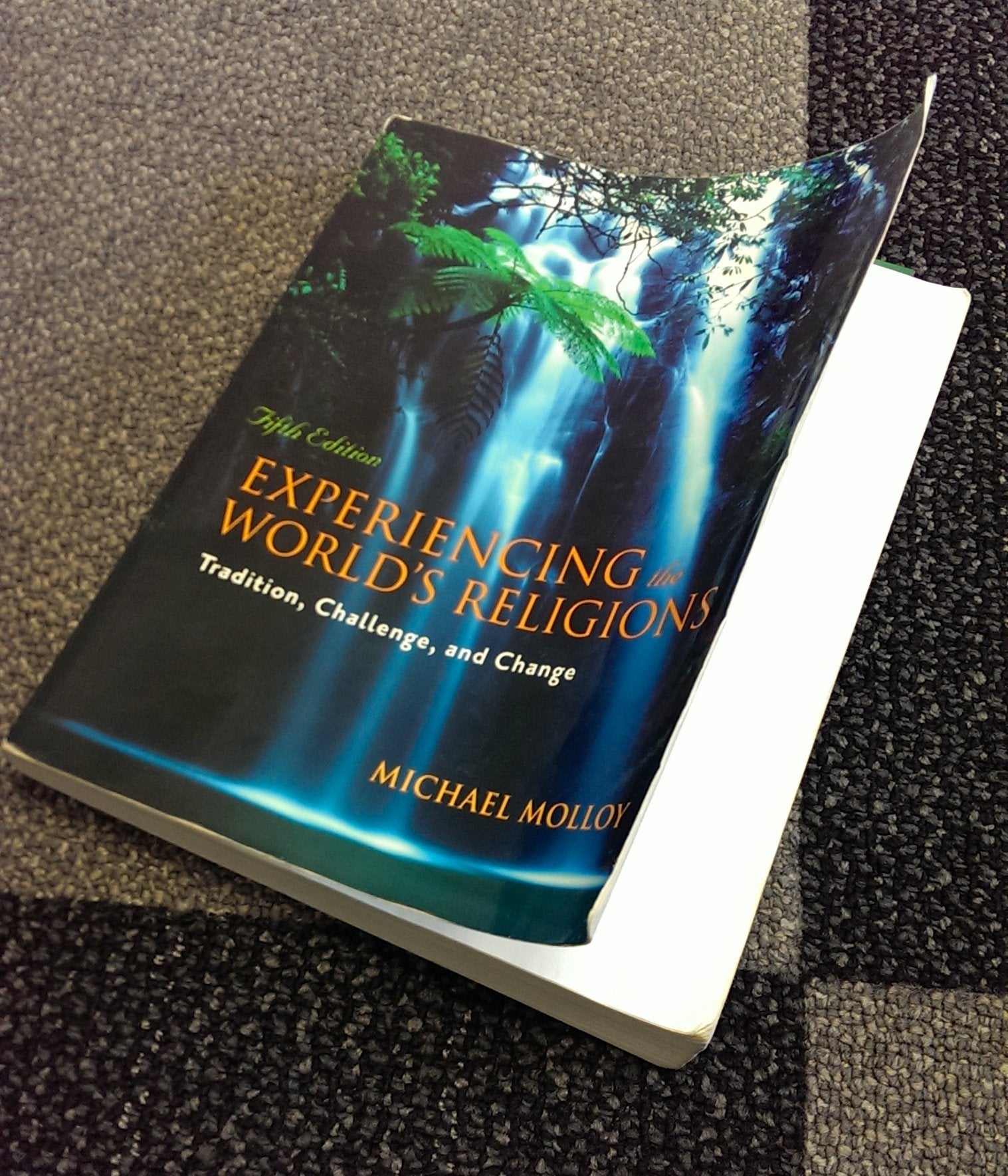 Experiencing the World's Religions: Tradition, Challenge, and Change, 5th Edition