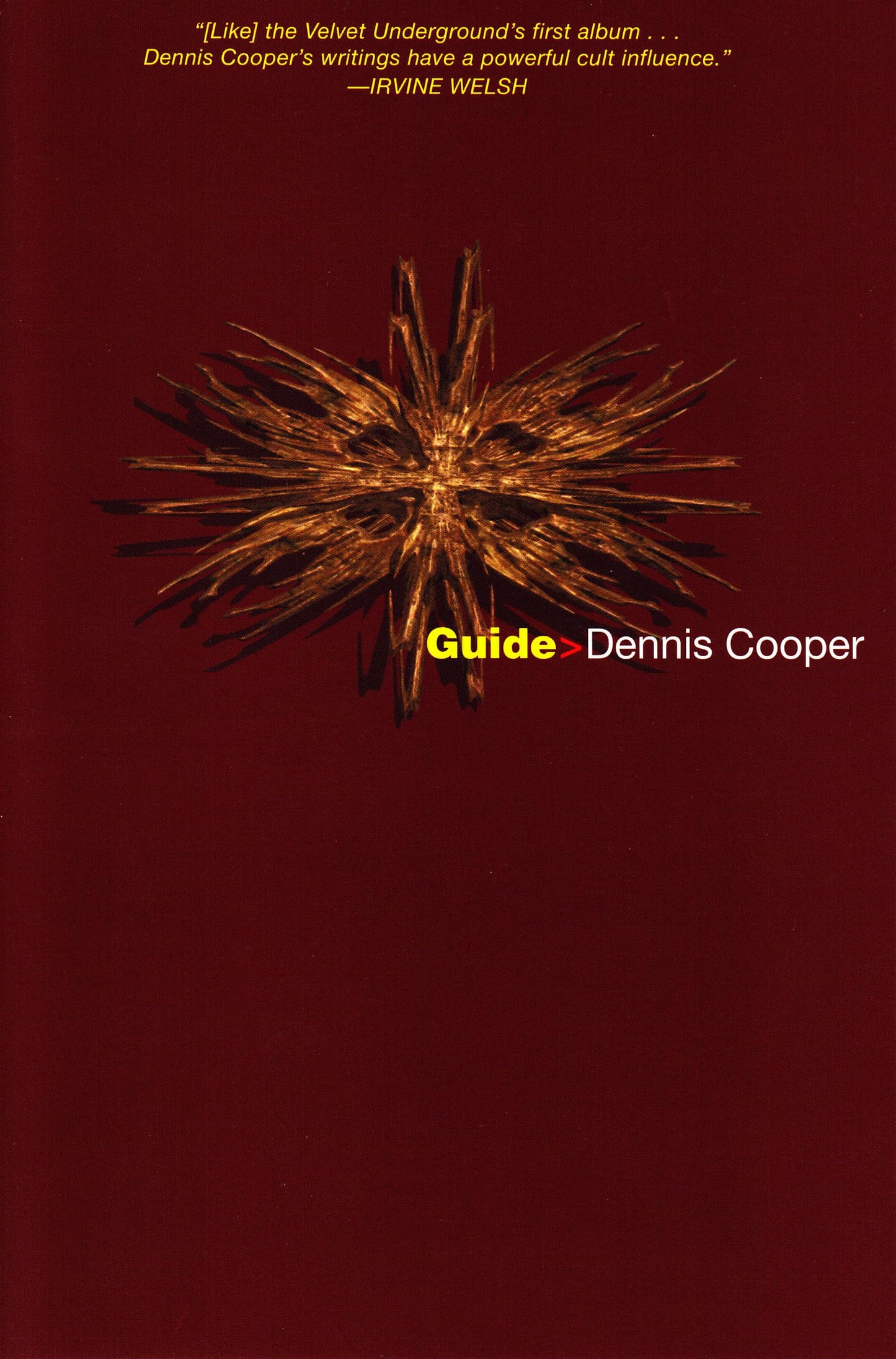 Guide (Cooper, Dennis) by Cooper, Dennis