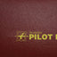 The Standard Pilot Log (Burgundy): ASA-SP-40 (Standard Pilot Logbooks)