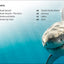 DK Super Readers Level 4 Shark Attack