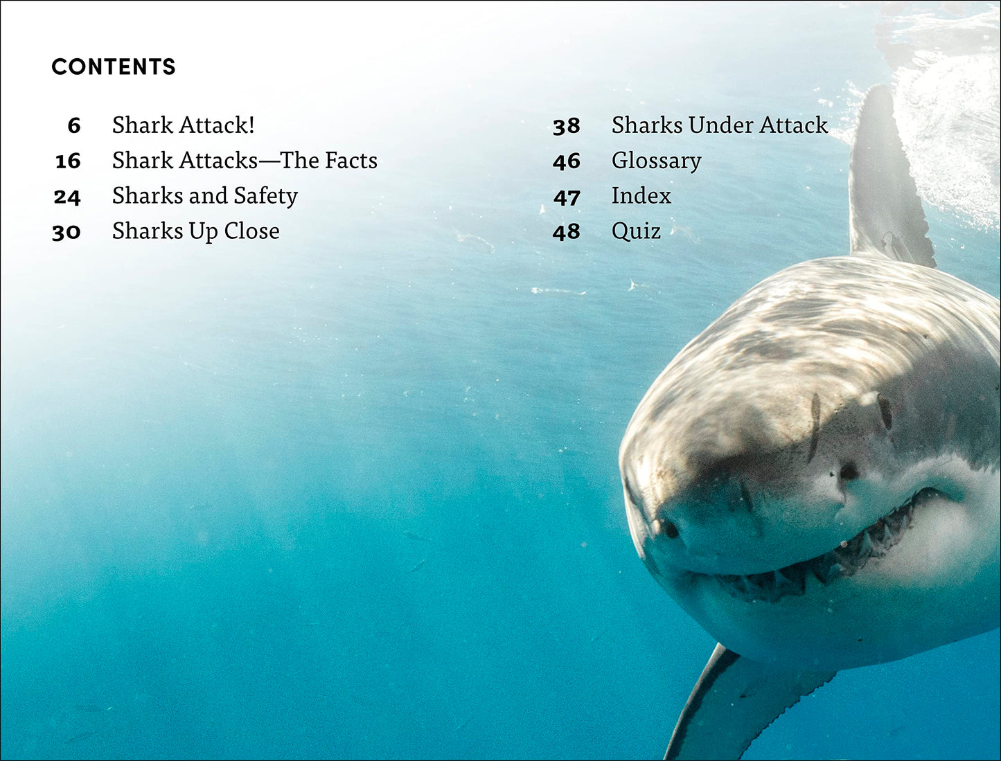 DK Super Readers Level 4 Shark Attack