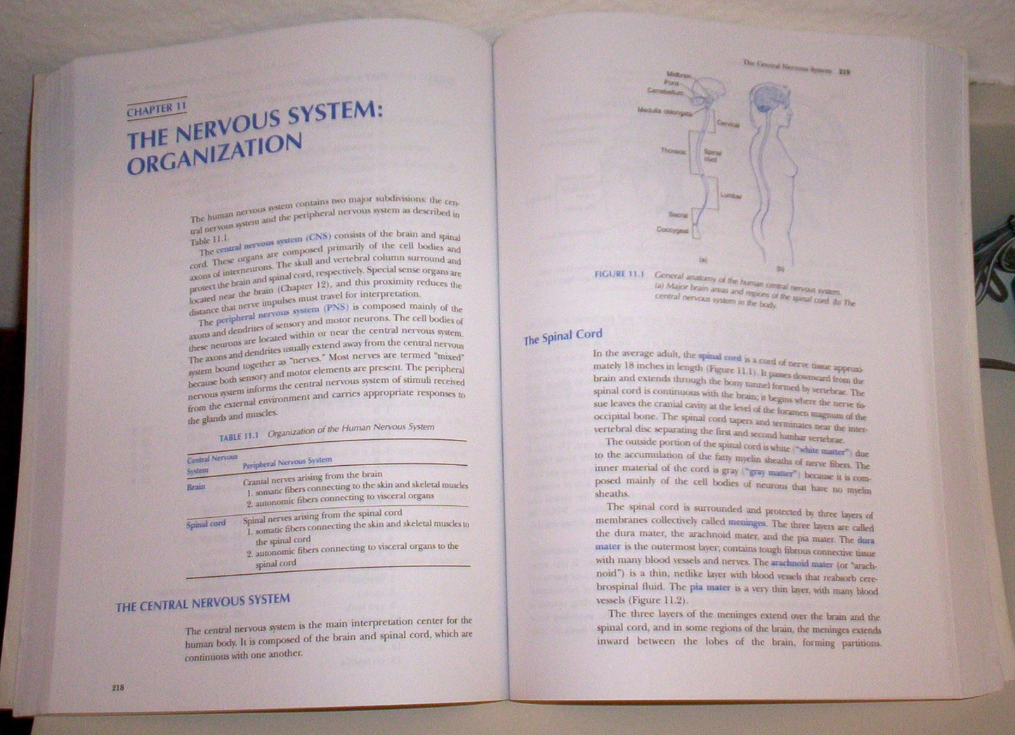 Anatomy and Physiology the Easy Way (Barron's Easy Series)