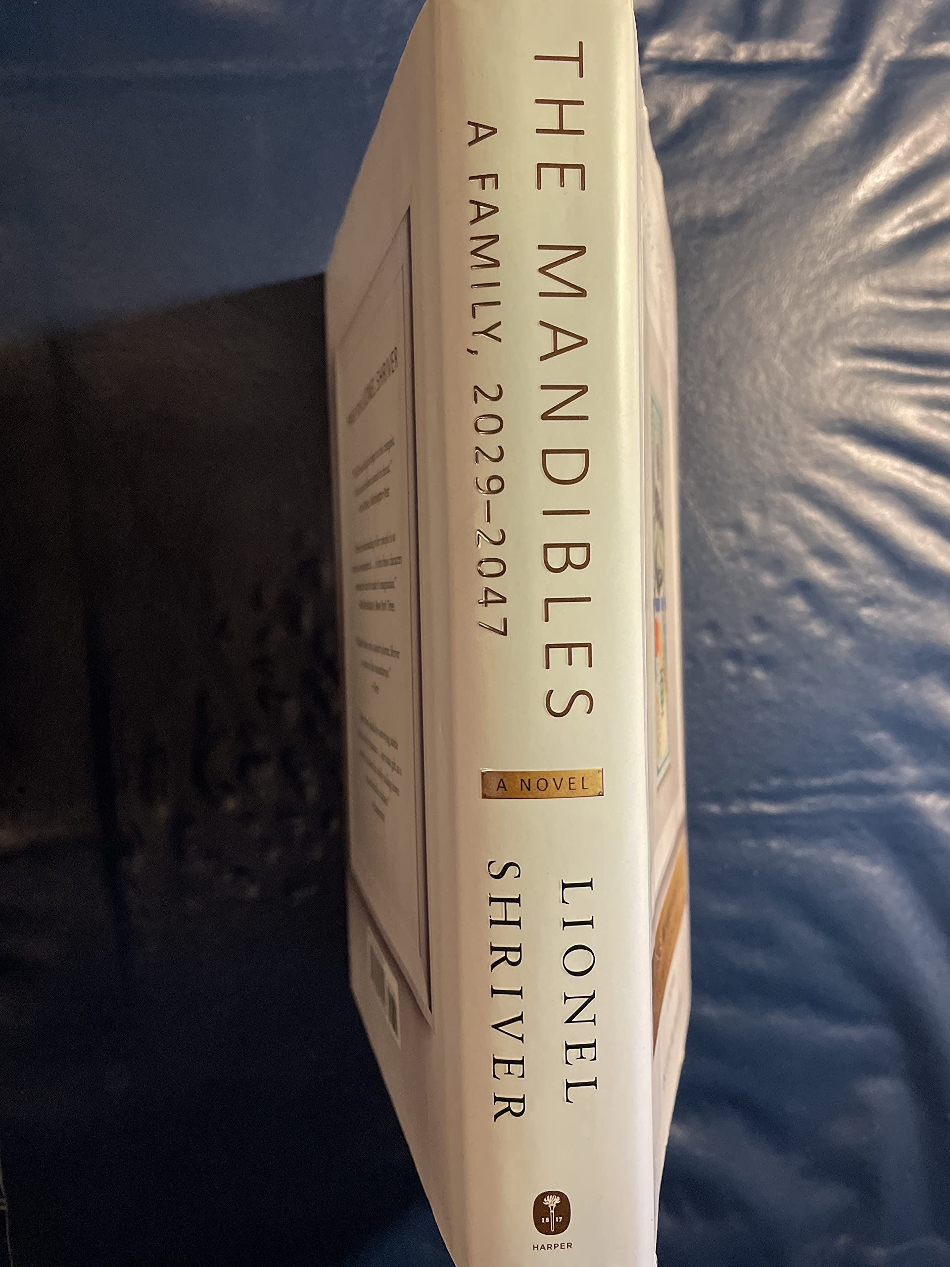 The Mandibles: A Family, 2029-2047