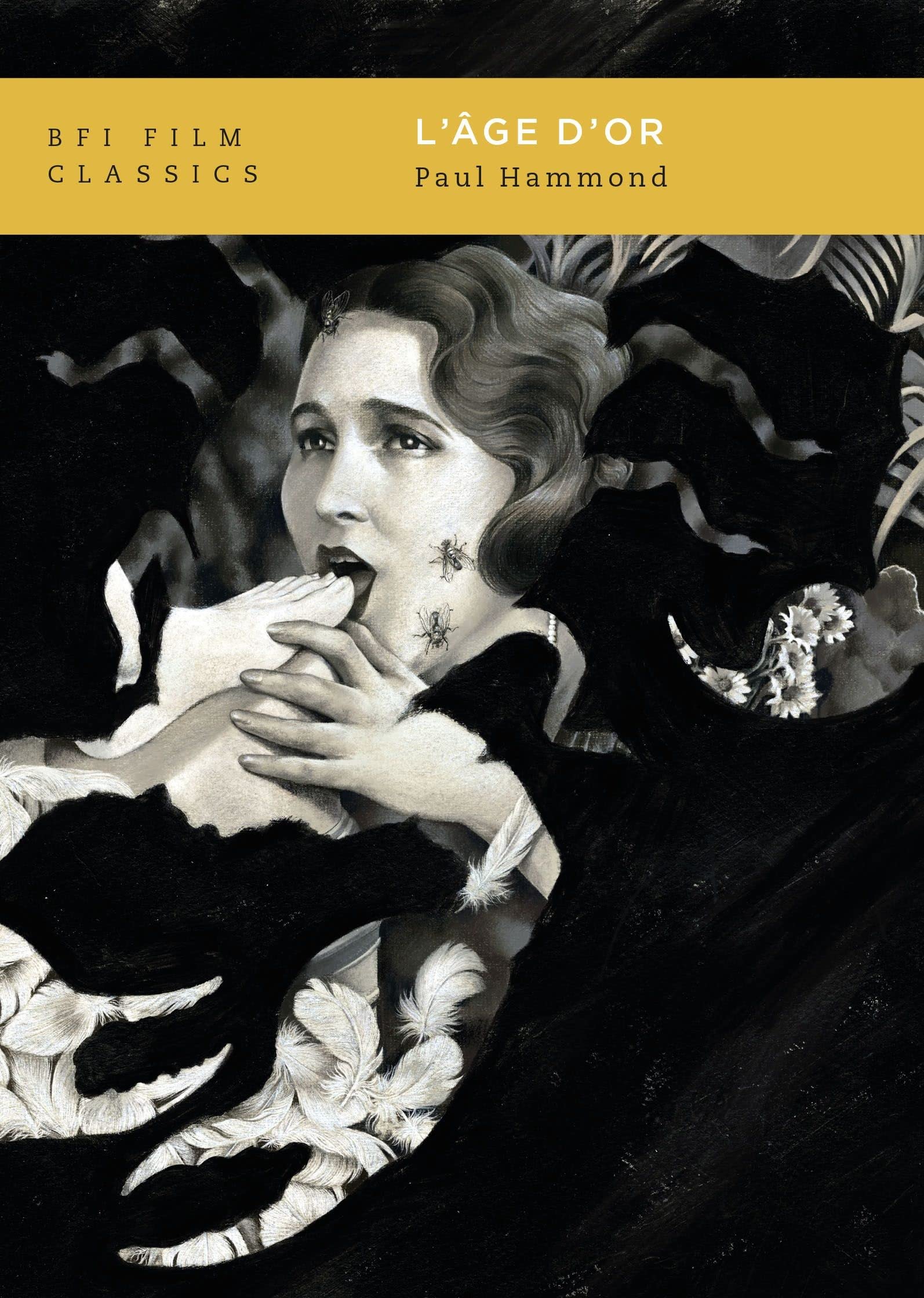 L'ge d'Or (BFI Film Classics)