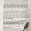 A Guide to the Identification and Natural History of the Sparrows of the United States and Canada