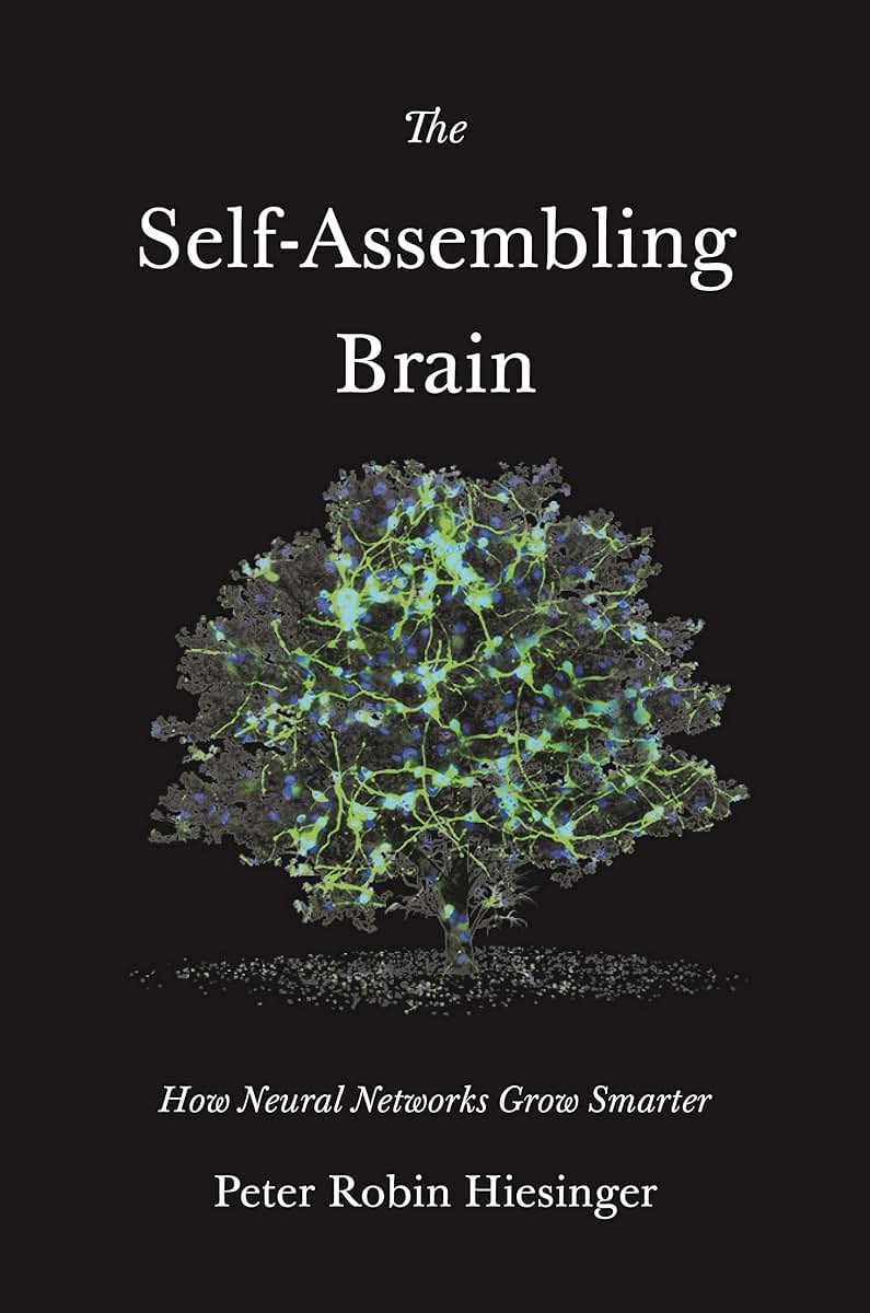 The Self-Assembling Brain: How Neural Networks Grow Smarter
