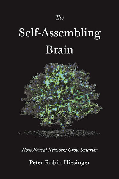 The Self-Assembling Brain: How Neural Networks Grow Smarter