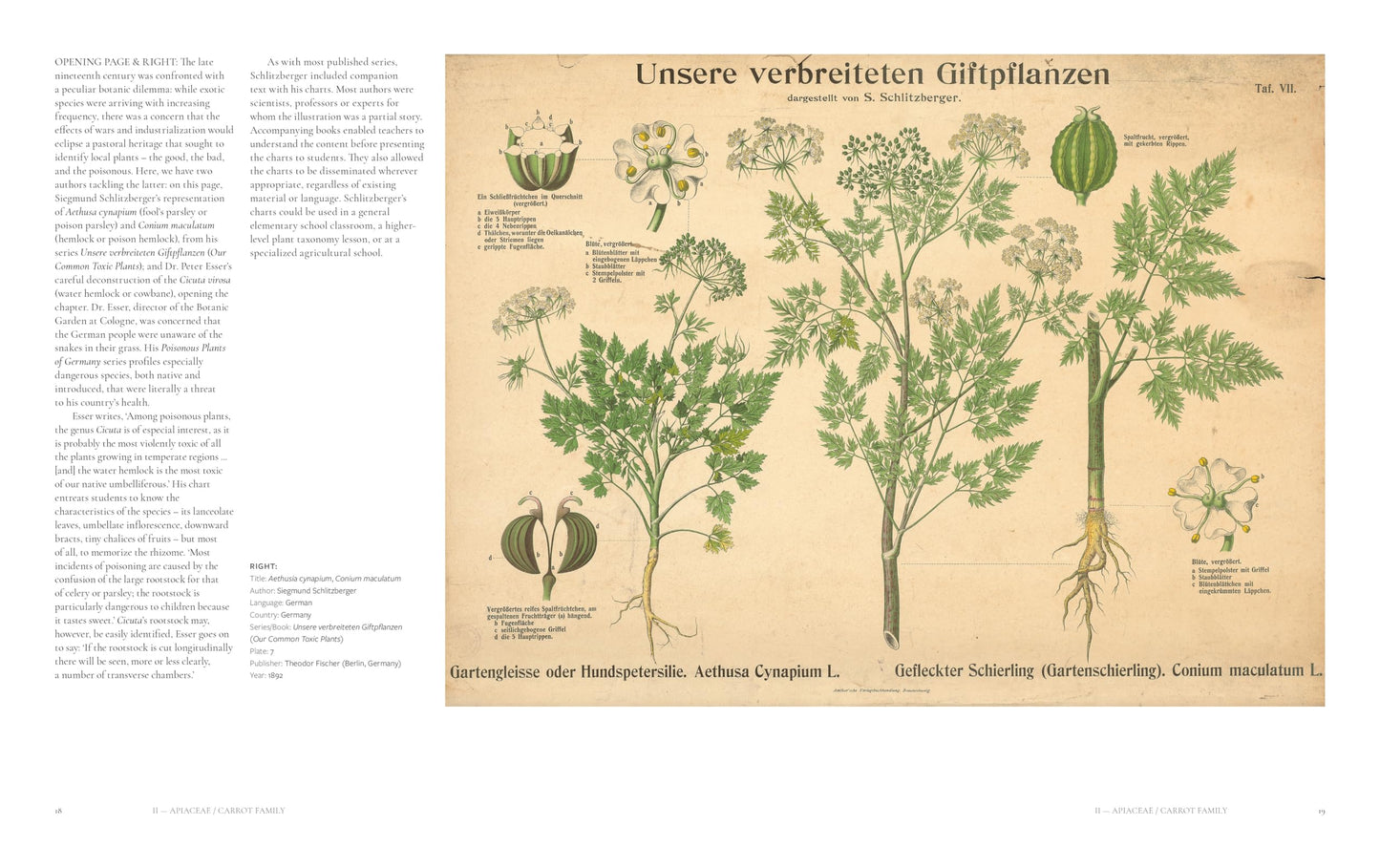 The Art of Botanical Painting: Iconic botanical wall charts from the golden age of scientific discovery