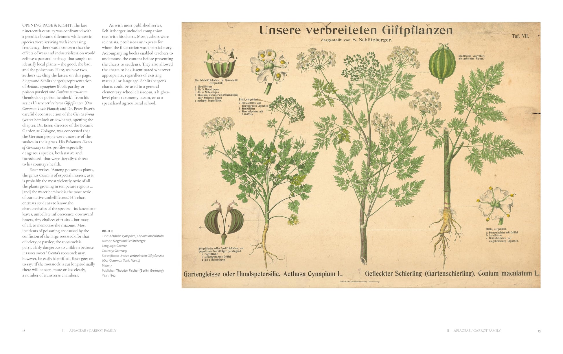 The Art of Botanical Painting: Iconic botanical wall charts from the golden age of scientific discovery