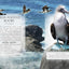 Little Book Of Ocean Animal Sounds by Caz Buckingham