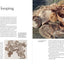 Nalbinding - It's Not Knitting: Heritage techniques for the contemporary textile crafter