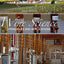 Wine Science