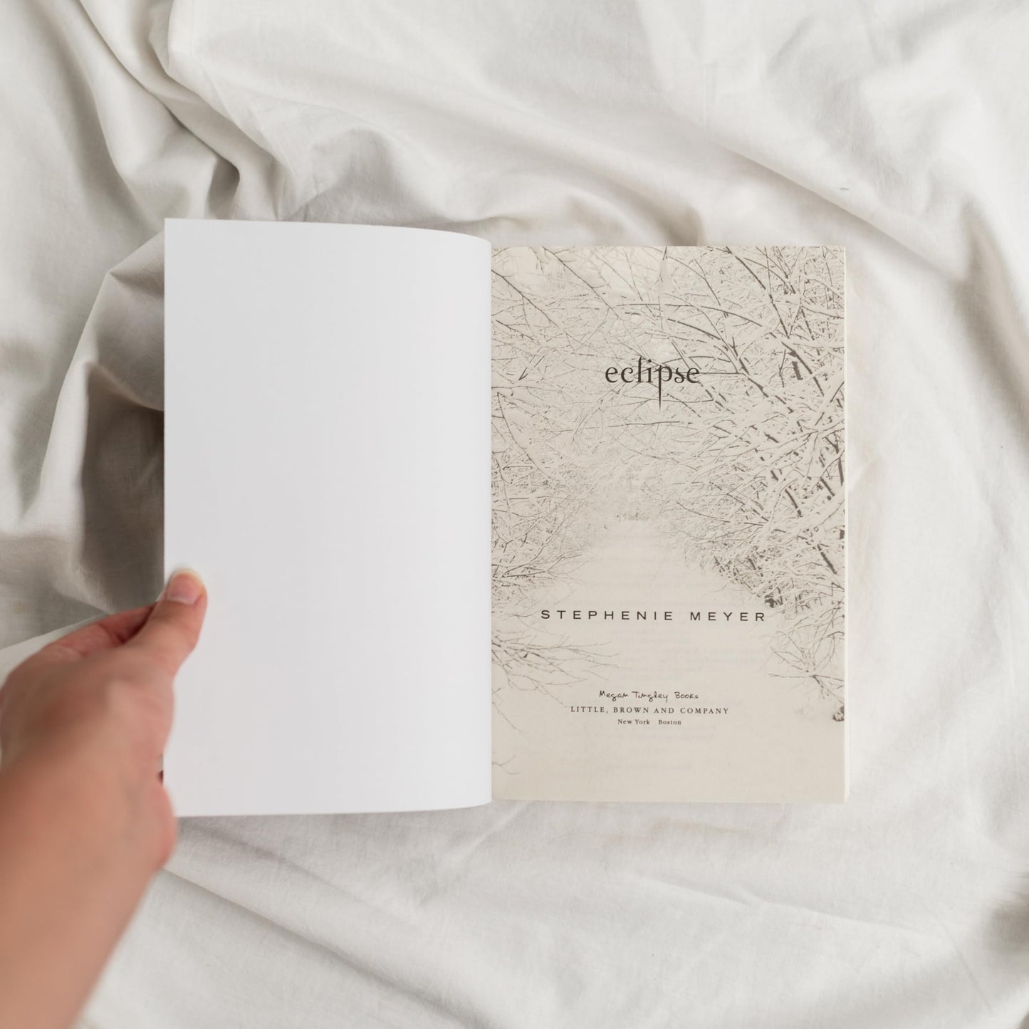 Eclipse (The Twilight Saga, 3)