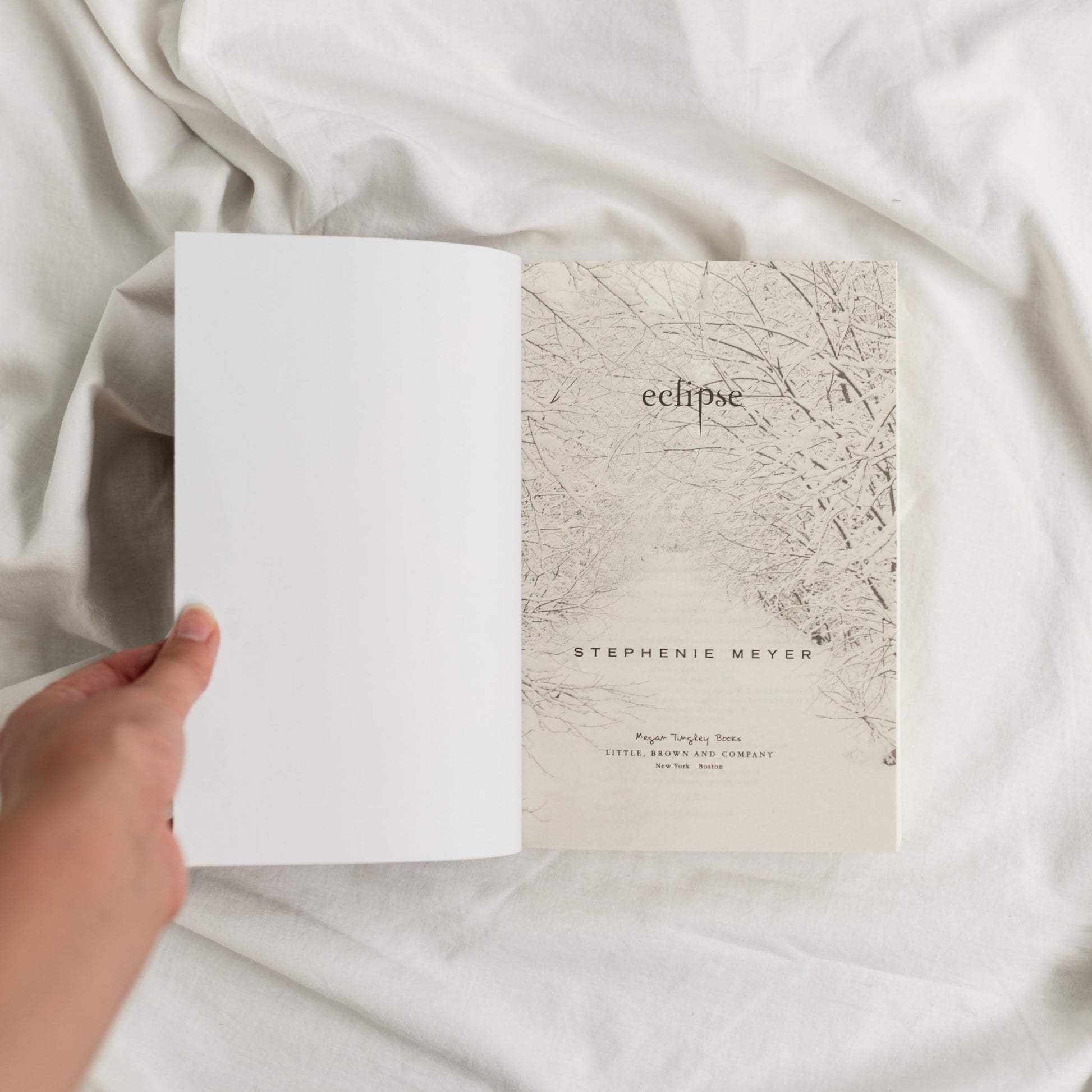 Eclipse (The Twilight Saga, 3)