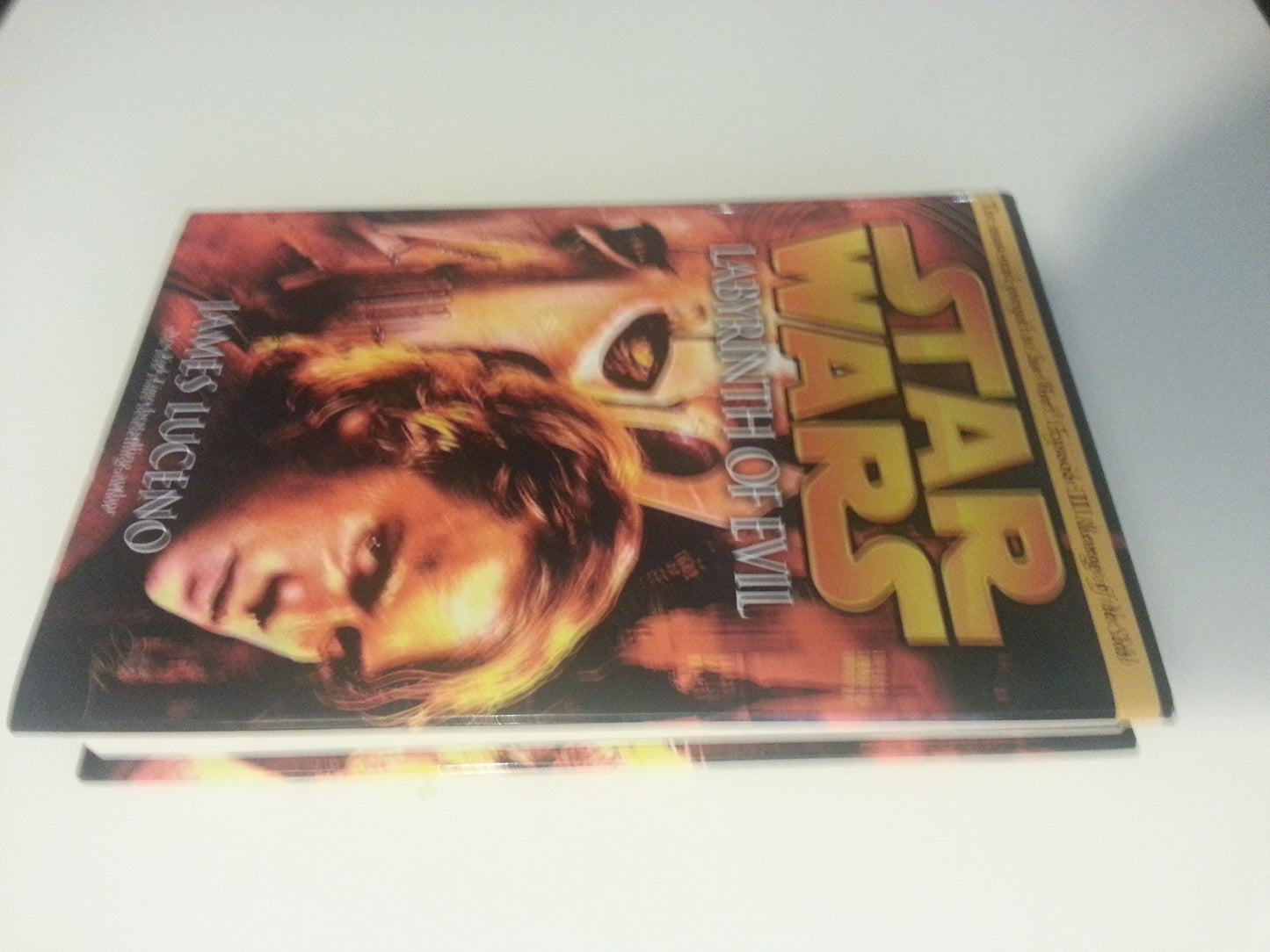 Labyrinth of Evil (Star Wars, Episode III Prequel Novel)