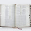 RVR, Biblia de estudio trasfondo cultural (El contexto lo cambia todo), Leathersoft, Rojo vino, Interior a color, con ndice, Comfort Print: Explora el mundo antiguo de la Escritura (Spanish Edition)