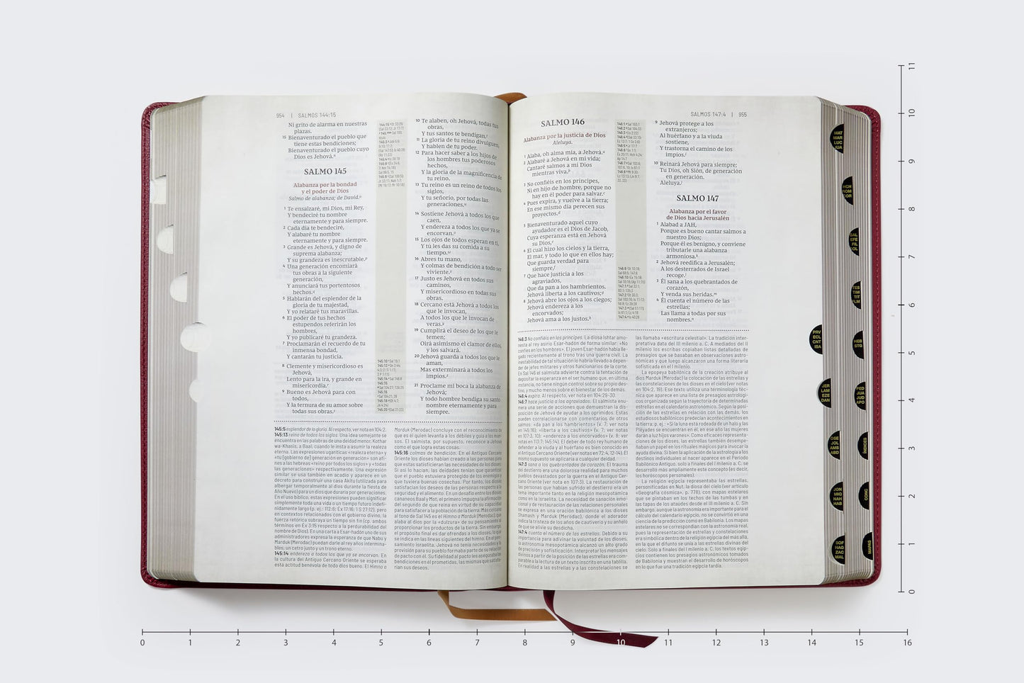 RVR, Biblia de estudio trasfondo cultural (El contexto lo cambia todo), Leathersoft, Rojo vino, Interior a color, con ndice, Comfort Print: Explora el mundo antiguo de la Escritura (Spanish Edition)