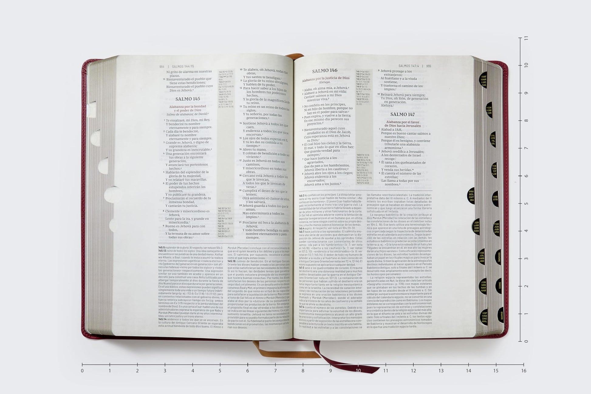 RVR, Biblia de estudio trasfondo cultural (El contexto lo cambia todo), Leathersoft, Rojo vino, Interior a color, con ndice, Comfort Print: Explora el mundo antiguo de la Escritura (Spanish Edition)