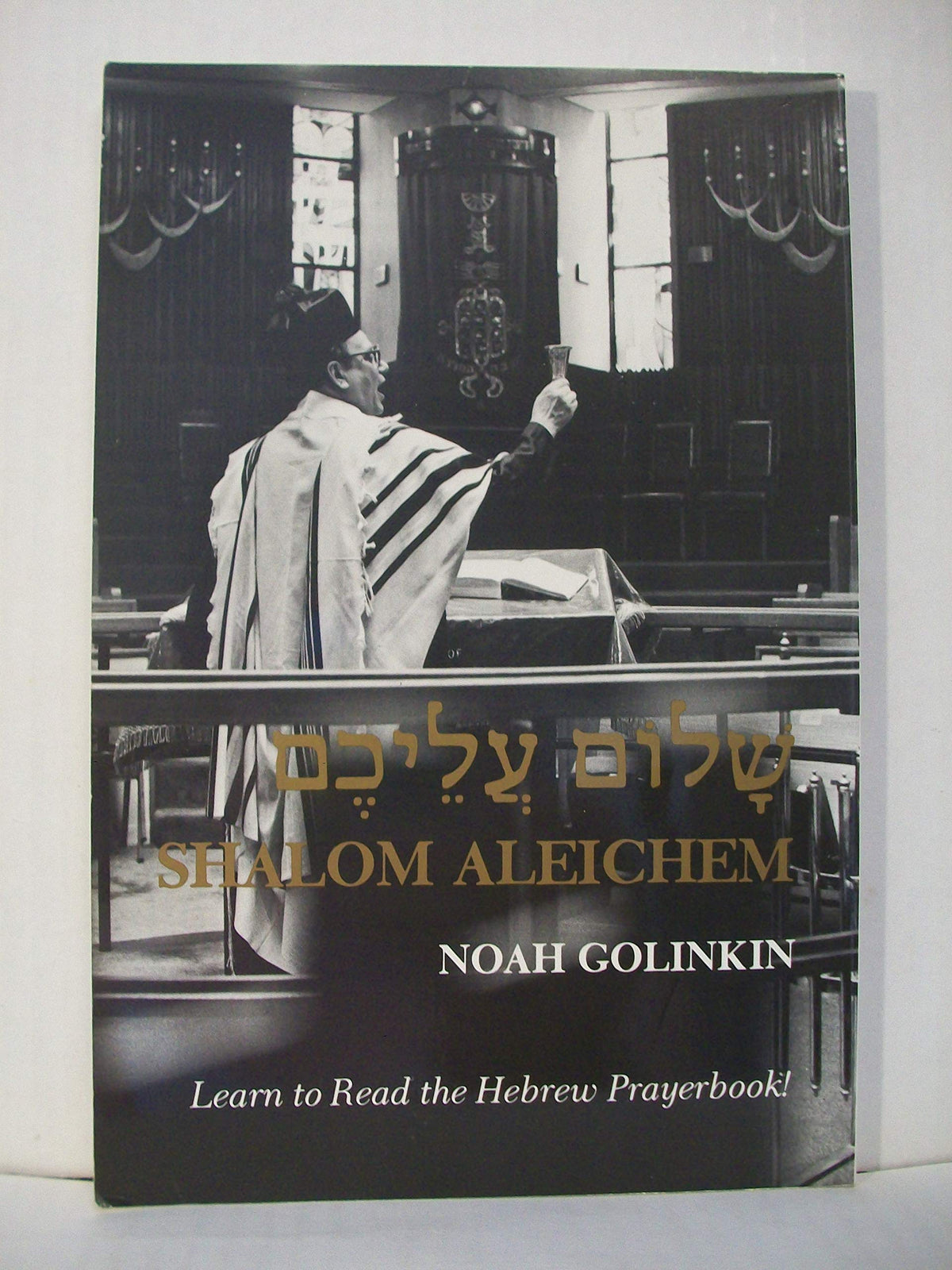 Shalom Aleichem: Learn to Read the Hebrew Prayerbook (English and Hebrew Edition)