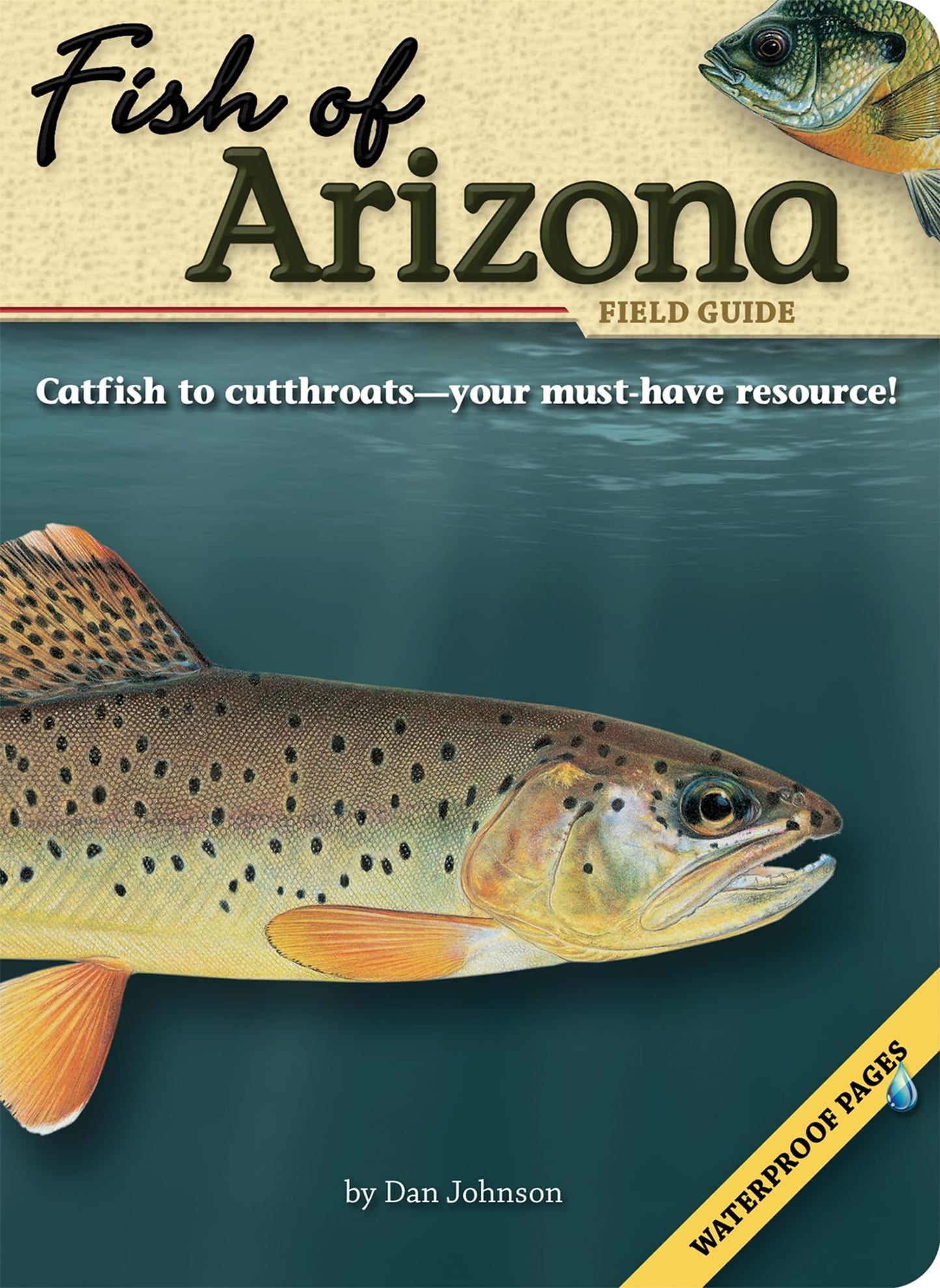 Fish of Arizona Field Guide (Fish Identification Guides)