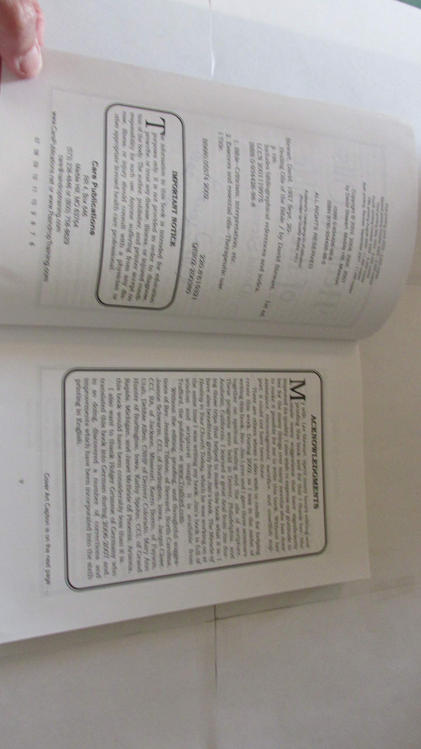 Healing Oils of the Bible by David Stewart