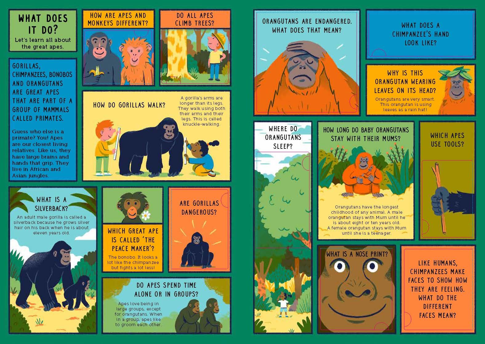 Life on Earth: Jungle: With 100 Questions and 70 Lift-flaps!