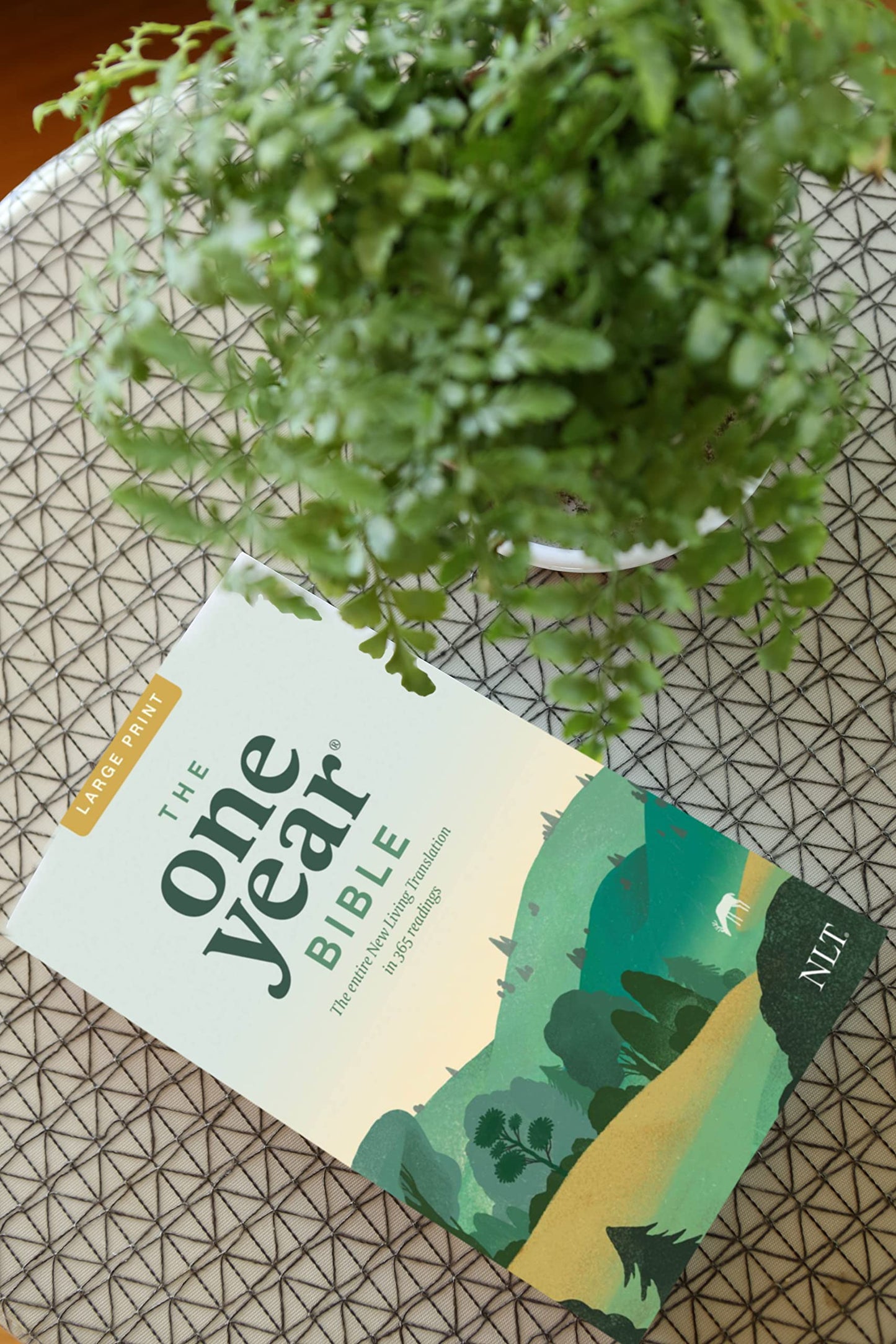 The One Year NLT Large Print Thinline Bible Softcover