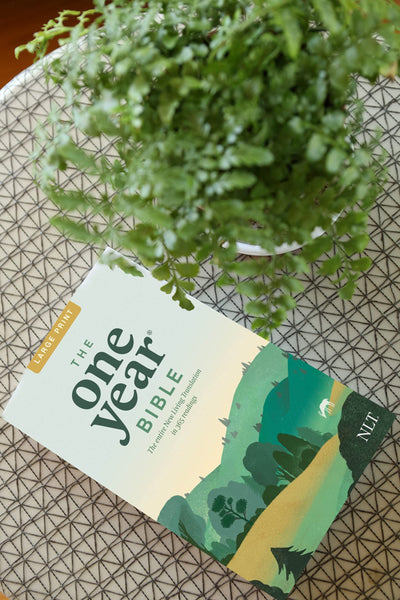 The One Year NLT Large Print Thinline Bible Softcover