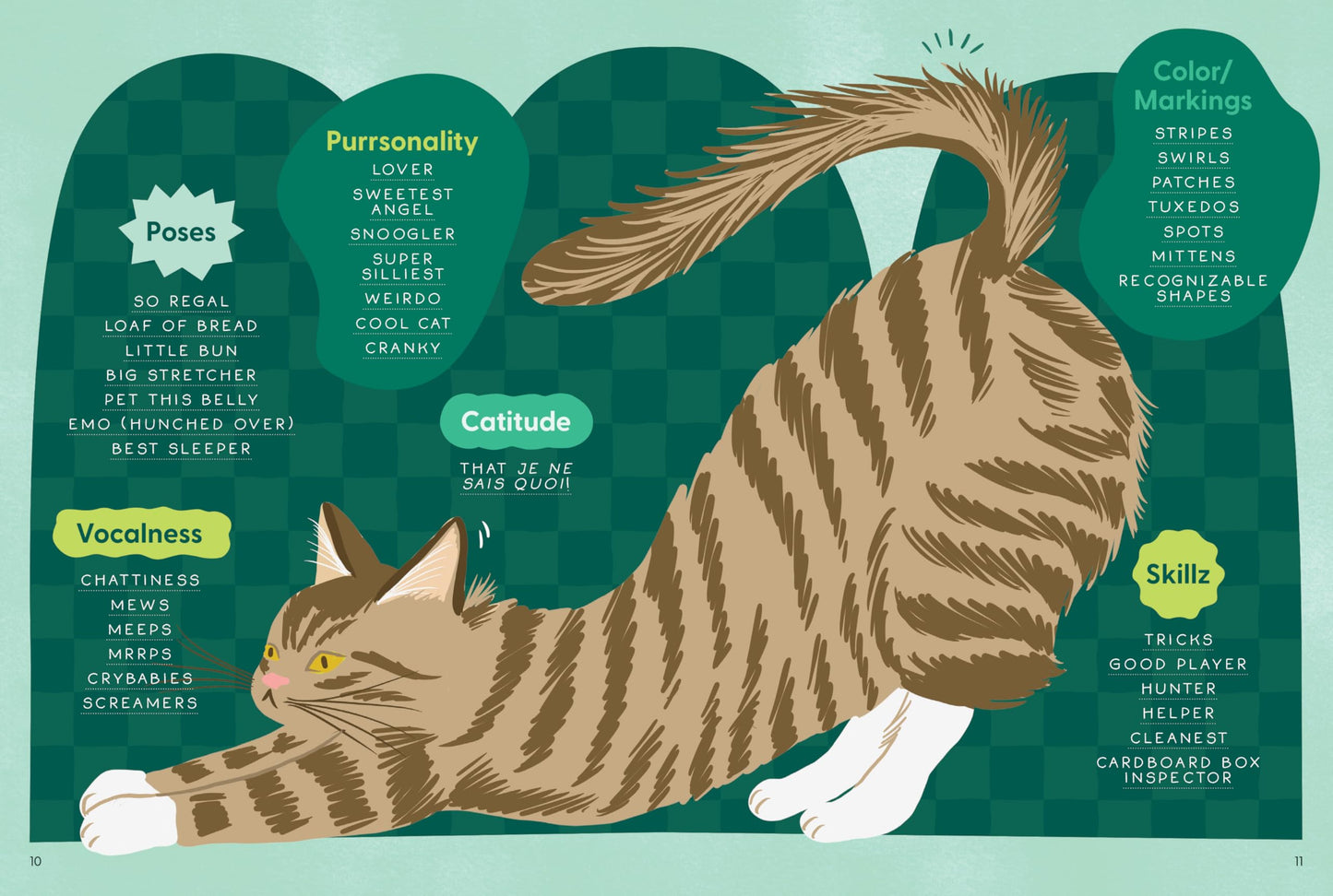 How to Rate a Cat: Rate Any Feline Friend from Their Boopable Nose to Their Sweet Toe Beans
