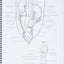Dog Anatomy: A Coloring Atlas by Robert Kainer
