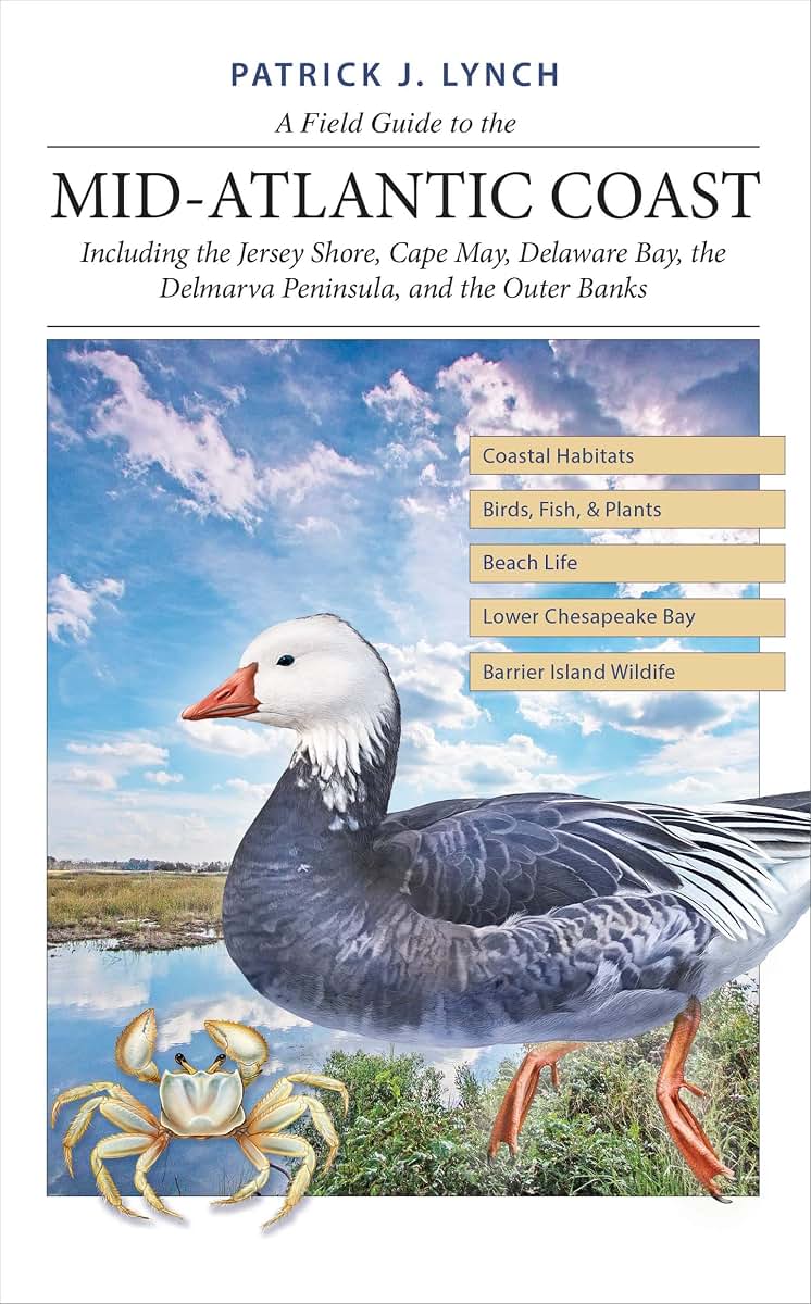 A Field Guide to the Mid-Atlantic Coast: Including the Jersey Shore, Cape May, Delaware Bay, the Delmarva Peninsula, and the Outer Banks