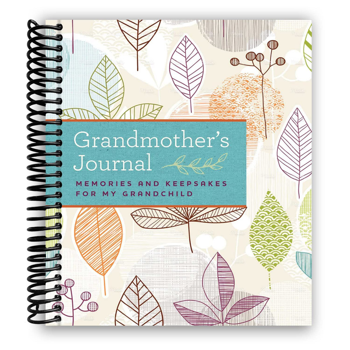 Grandmothers Journal: Memories and Keepsakes for My Grandchild [Spiral-bound] Blue Streak