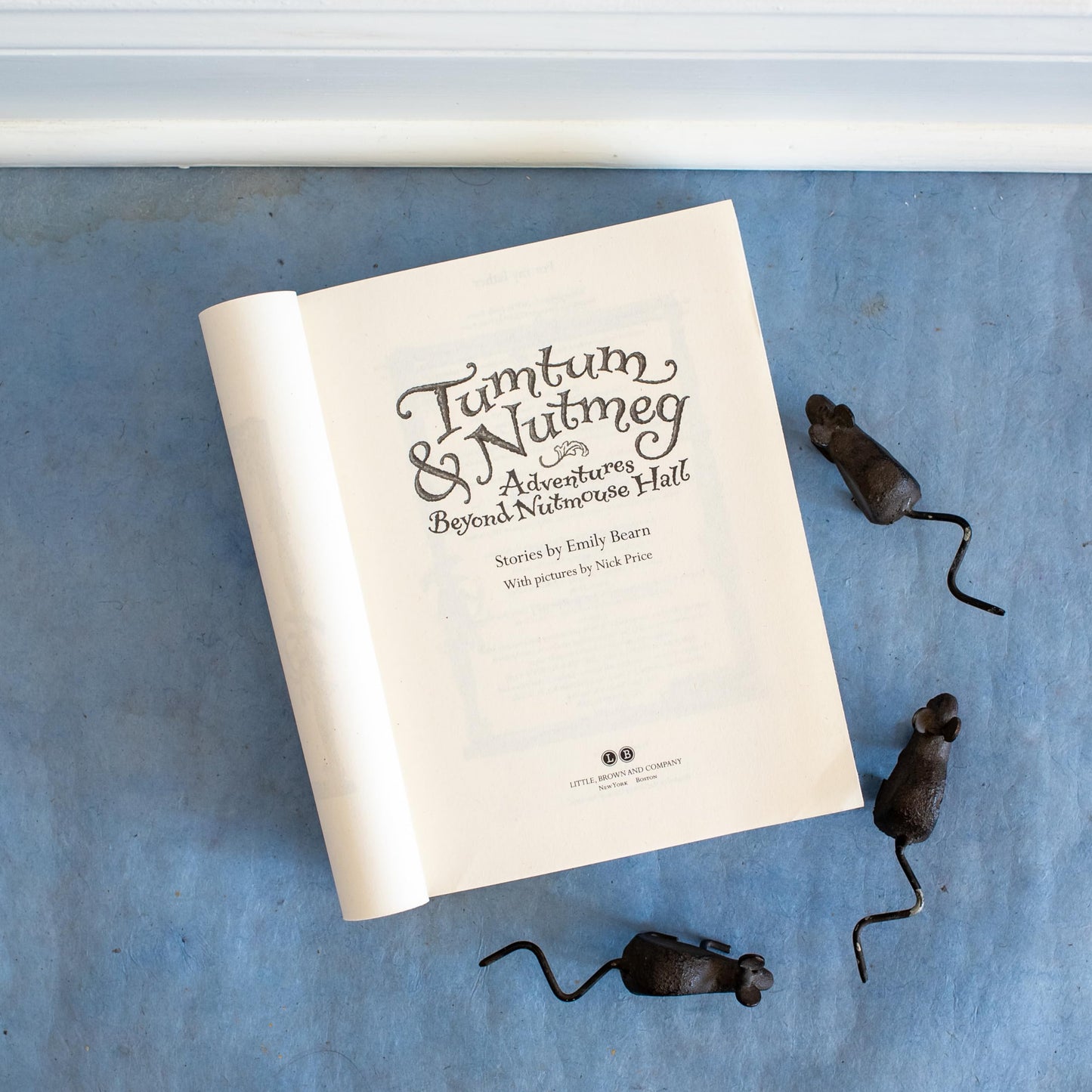 Tumtum & Nutmeg: Adventures Beyond Nutmouse Hall (Tumtum & Nutmeg, 1)