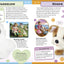 American Girl Character Encyclopedia New Edition by DK