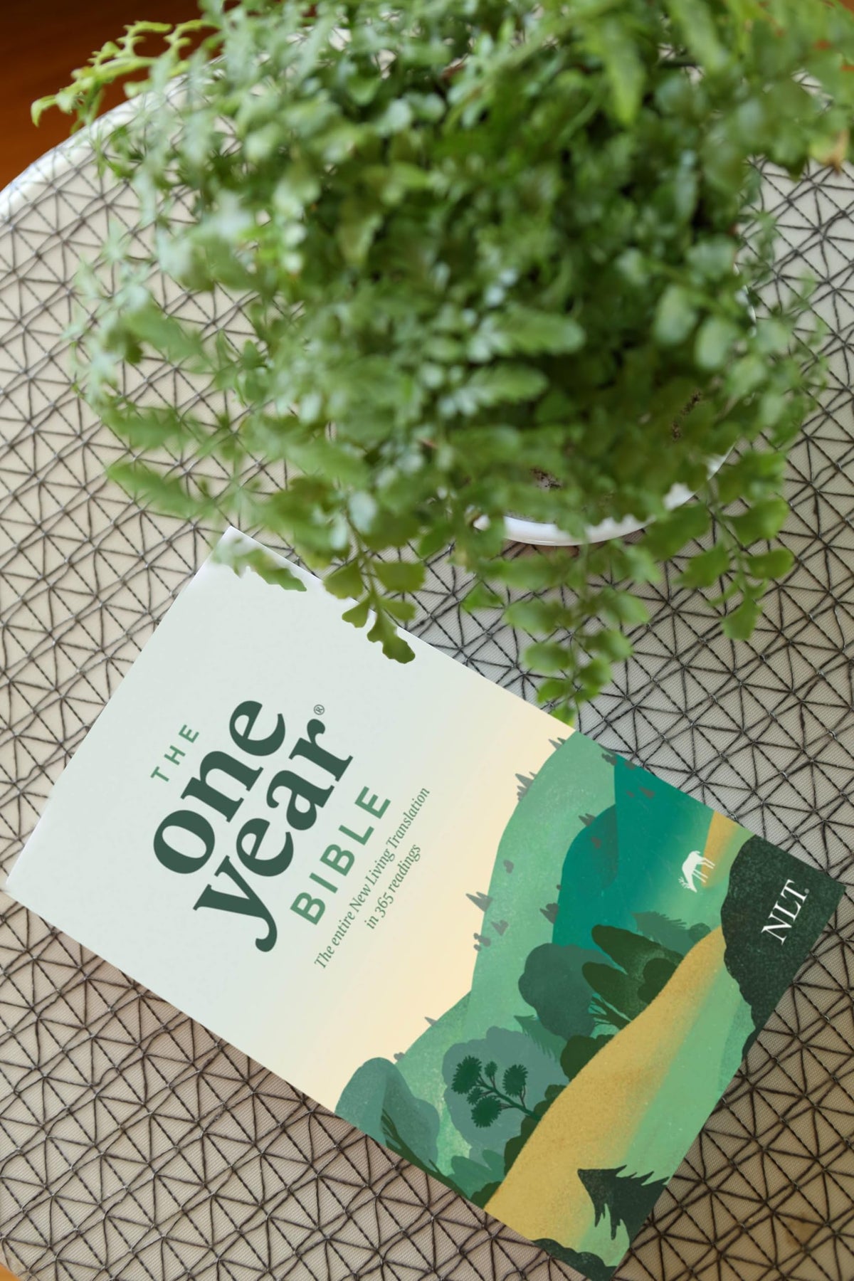 The One Year NLT Large Print Thinline Bible (Softcover): The Entire Bible in 365 Readings in the Clear and Trusted New Living Translation