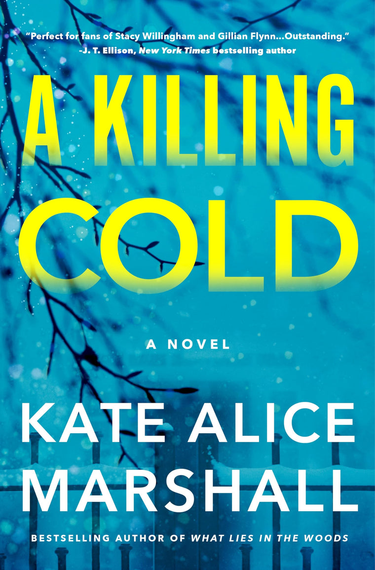 A Killing Cold: A Novel