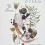 STILL: The Art of Noticing