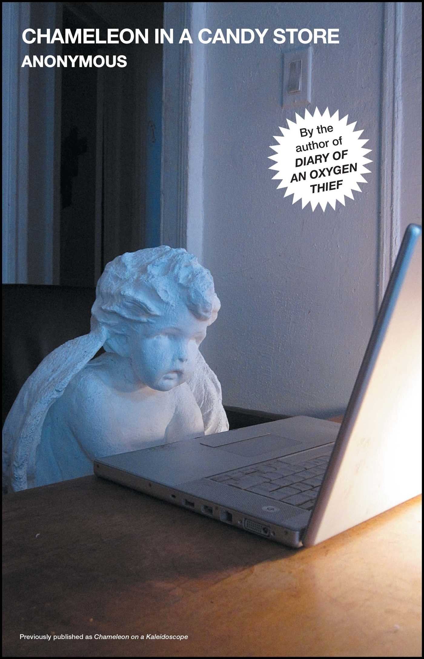 Chameleon in a Candy Store (Oxygen Thief Diaries, The)