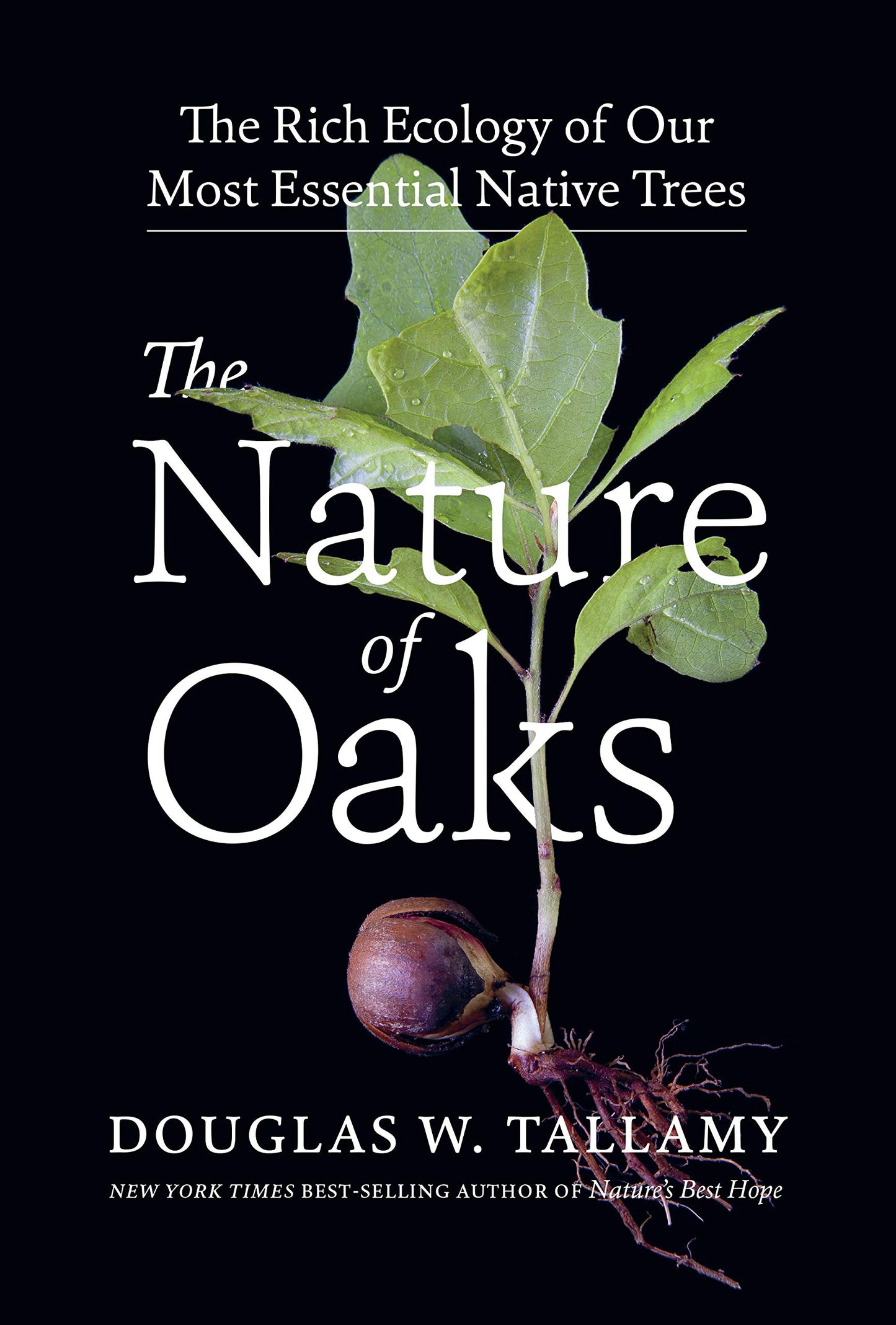 The Nature of Oaks: The Rich Ecology of Our Most Essential Native Trees