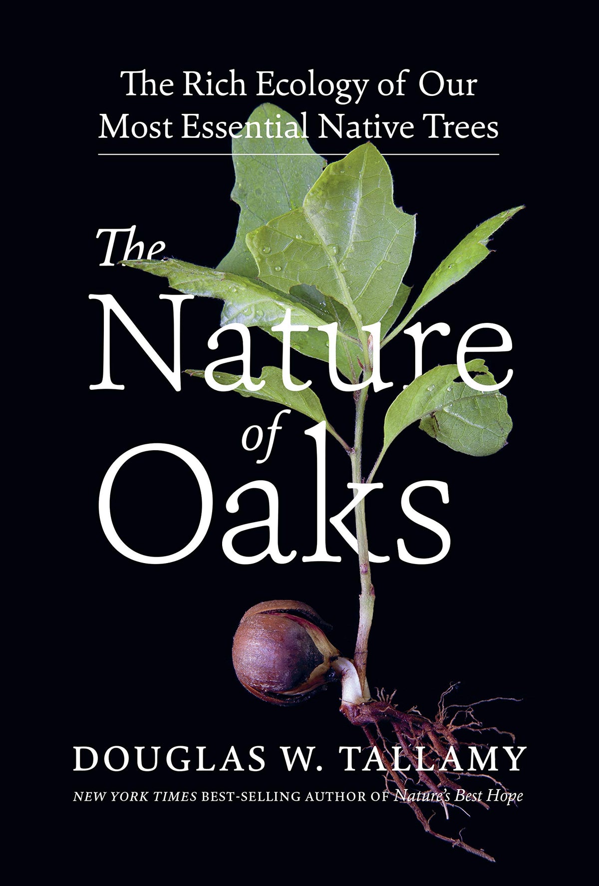The Nature of Oaks: The Rich Ecology of Our Most Essential Native Trees