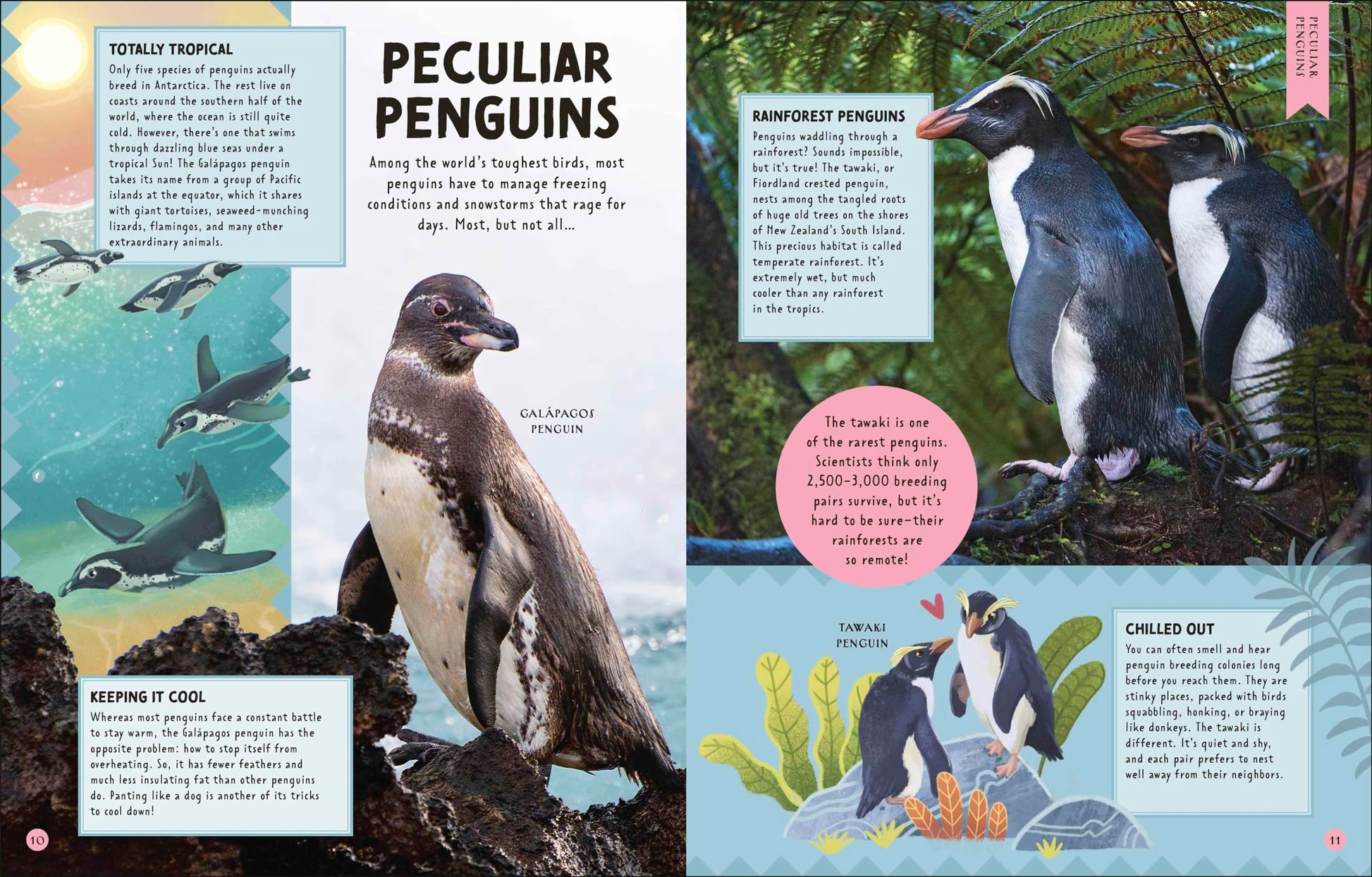 Odd Animals Out: More than 75 Animals that Break the Rules (Wonders of Wildlife)