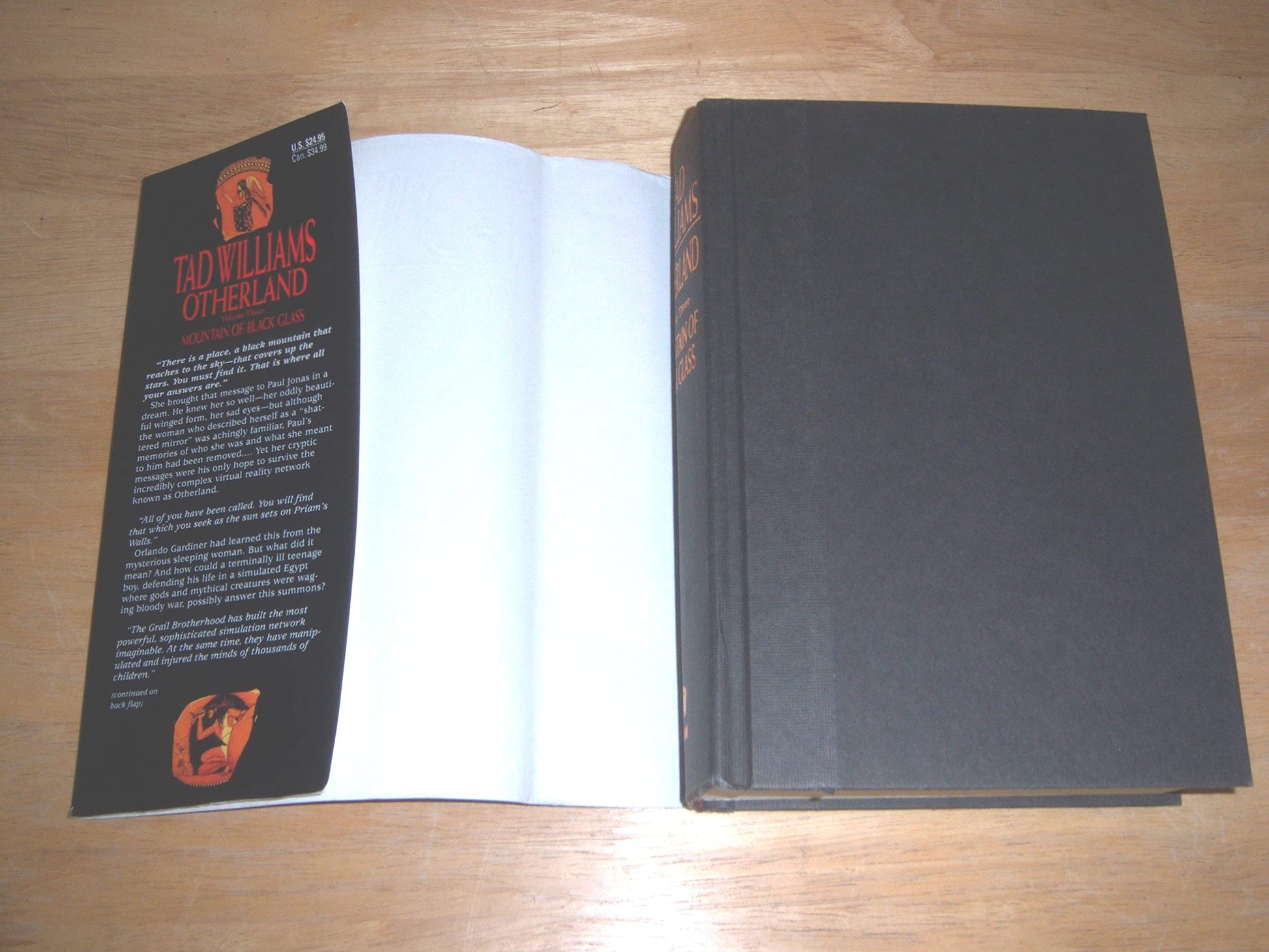 Otherland: Volume Three: Mountain of Black Glass