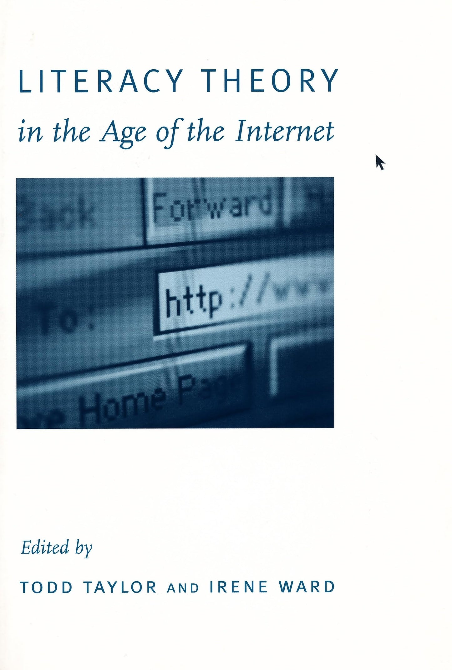 Literacy Theory in the Age of the Internet (New Directions in World Politics)