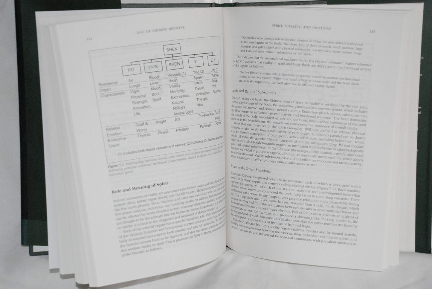 Dao of Chinese Medicine: Understanding an Ancient Healing Art