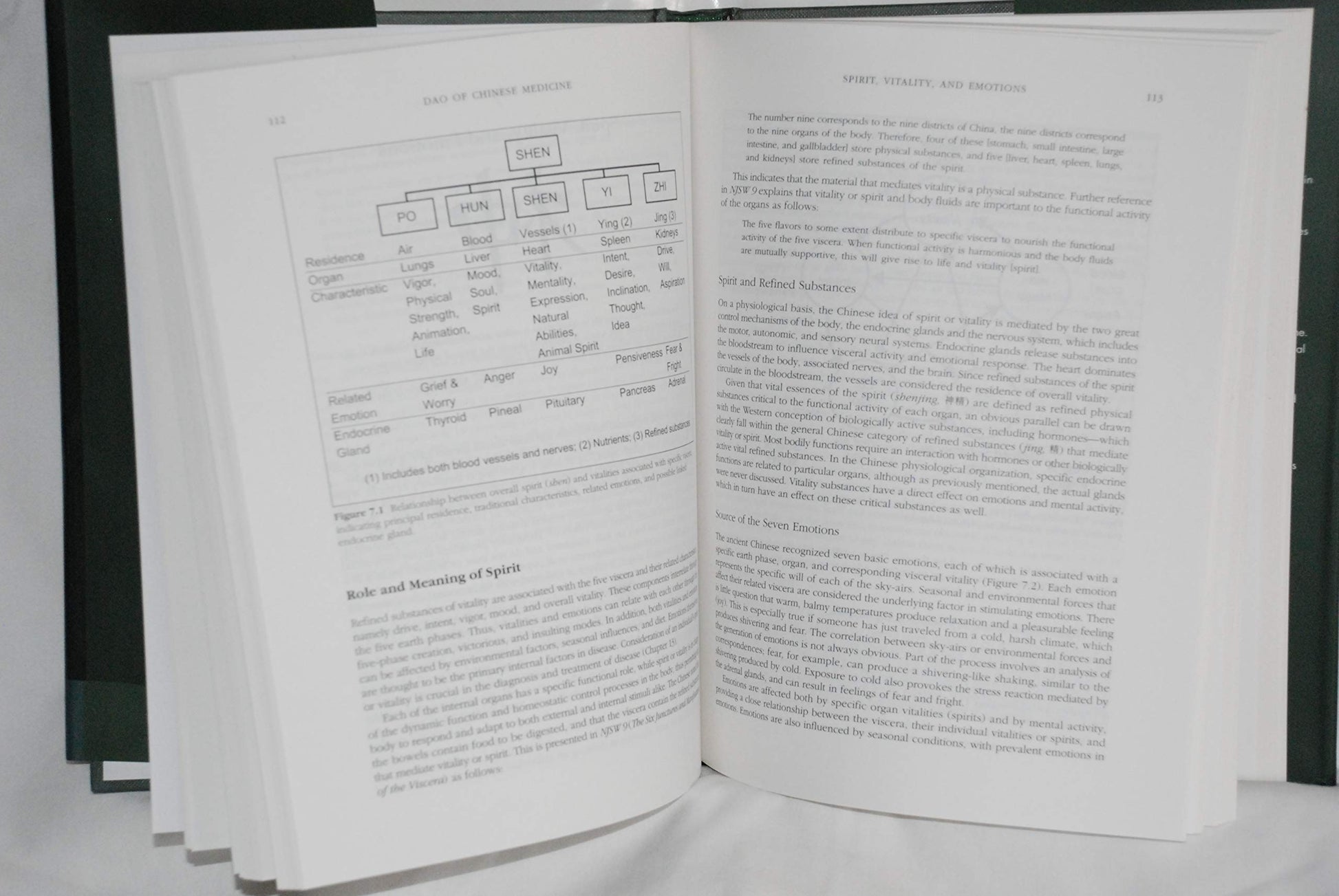 Dao of Chinese Medicine: Understanding an Ancient Healing Art