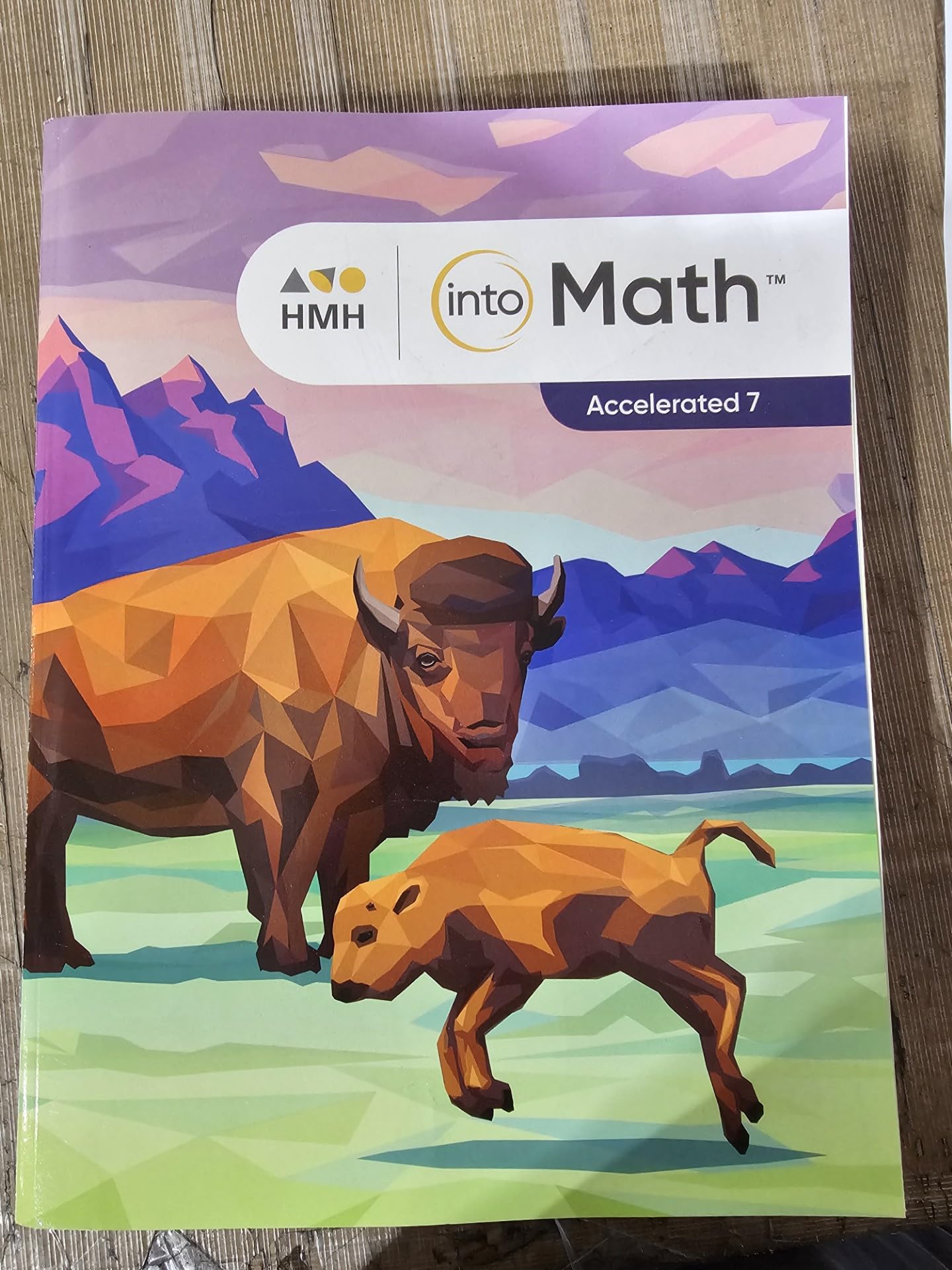 Student Edition Accelerated 7 2020 (Into Math Vrs1)